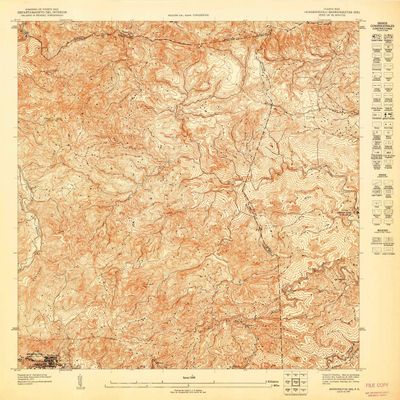 YellowMaps Barranquitas NE PR topo map, 1:10000 Scale, 3.75 X 3.75 Minute, Historical, 1947, 31.3 x 30.5 in - Polypropylene