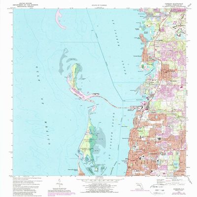 YellowMaps Dunedin FL topo map, 1:24000 Scale, 7.5 X 7.5 Minute, Historical, 1974, Updated 1988, 26.8 x 23 in - Tyvek