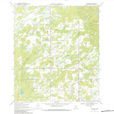 YellowMaps Leader MN topo map, 1:24000 Scale, 7.5 X 7.5 Minute, Historical, 1970, Updated 1984, 27.31 x 21.21 in - Polypropylene