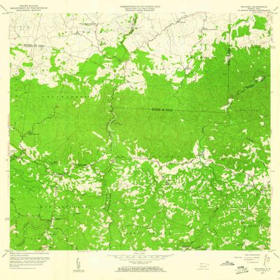 YellowMaps Bayaney PR topo map, 1:20000 Scale, 7.5 X 7.5 Minute, Historical, 1957, Updated 1960, 32.2 x 28 in - Polypropylene