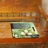 VictoryStore Church Cushions - Great for Church Bench Cushion and Church Kneeler Cushion Set of 2 (1 Peter 1:24-25) view 2