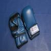 Caique - Gracie Brazilian jiu-Jitsu MMA Training Gloves Real Leather(Blue, Small) view 3