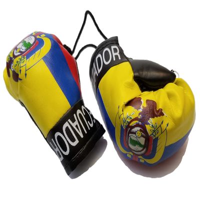 BUNFIREs Ecuador Flag Mini Banner Boxing Gloves Hang Over Rear View Mirror Ecuadorian Country Flag Banner