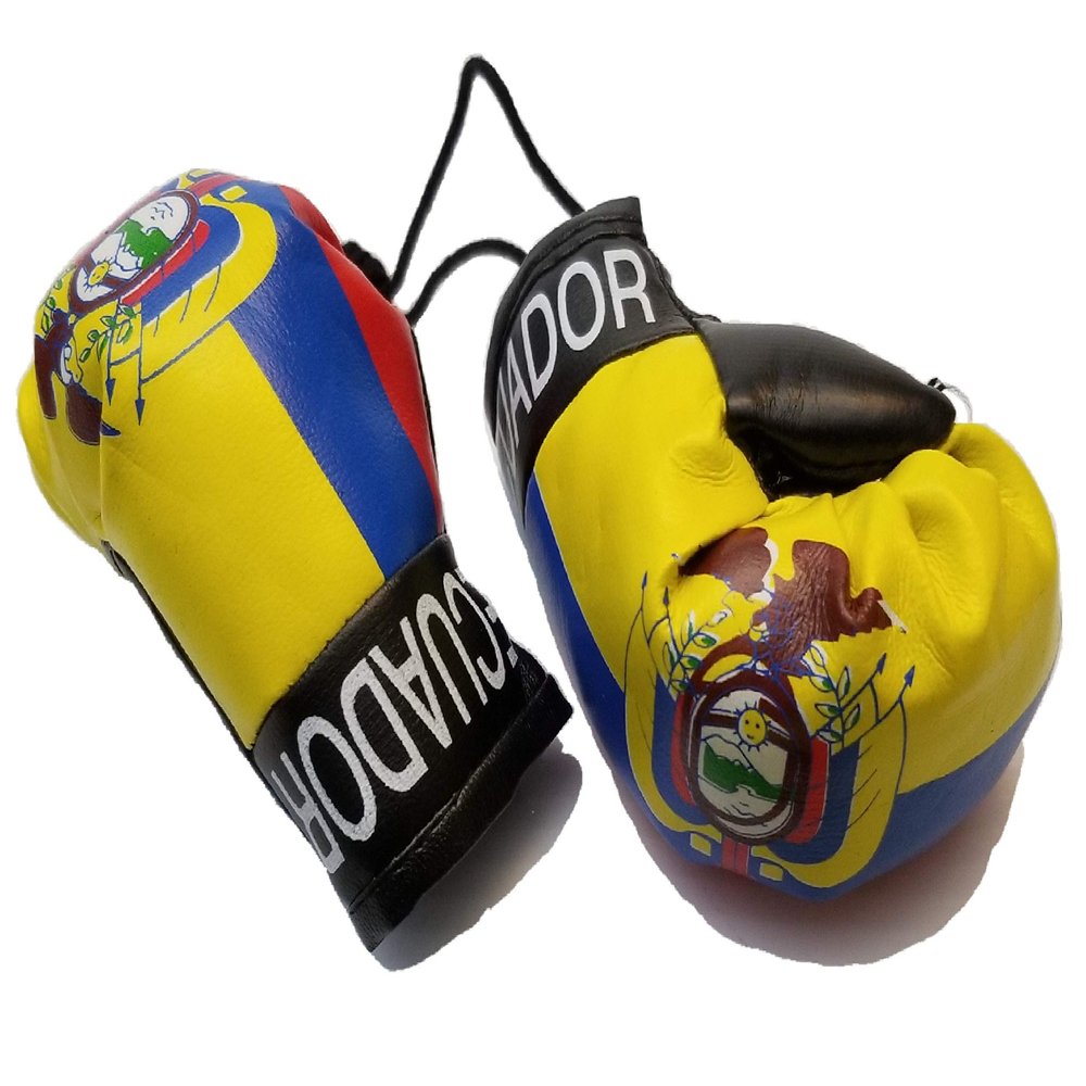 BUNFIREs Ecuador Flag Mini Banner Boxing Gloves Hang Over Rear View Mirror Ecuadorian Country Flag Banner