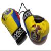 BUNFIREs Ecuador Flag Mini Banner Boxing Gloves Hang Over Rear View Mirror Ecuadorian Country Flag Banner view 1