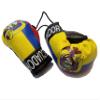 BUNFIREs Ecuador Flag Mini Banner Boxing Gloves Hang Over Rear View Mirror Ecuadorian Country Flag Banner view 2