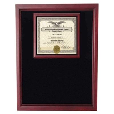 flag connections Extra Large Award Display Case