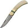 Damascus SANZ 4" Steel Lockback Folding Knife for Men  Pocket Knife for Men with Bone Handle, Engraved Brass Bolster, Green Wood Spacer & File Work EDC Knife for Collectors & Outdoor Use view 1