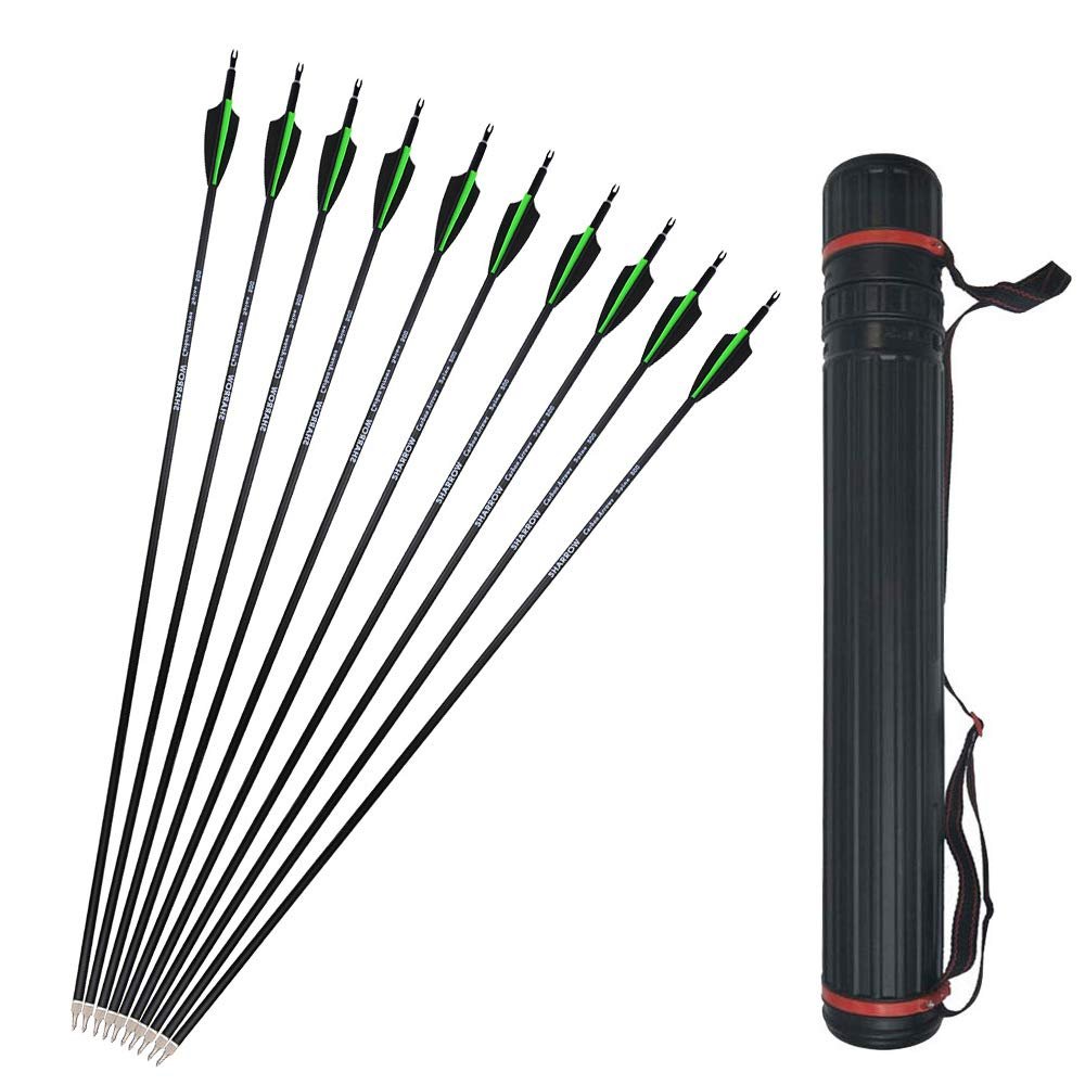 12 Pcs 30 Inch Archery Carbon Arrows 500 Spine Hunting Practice Target Carbon Arrows Shaft with 100 Grain Replaceable Tips for Archery Compound & Recurve & Traditional Bow (Green Arrow and Quiver)
