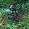 Ghillie Suits 3D Camouflage Hunting Leafy Suit - Spring color, (Large/X-Large) view 2