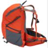 ALPS Mountaineering Canyon 20L Backpack - Chili/Gray view 4