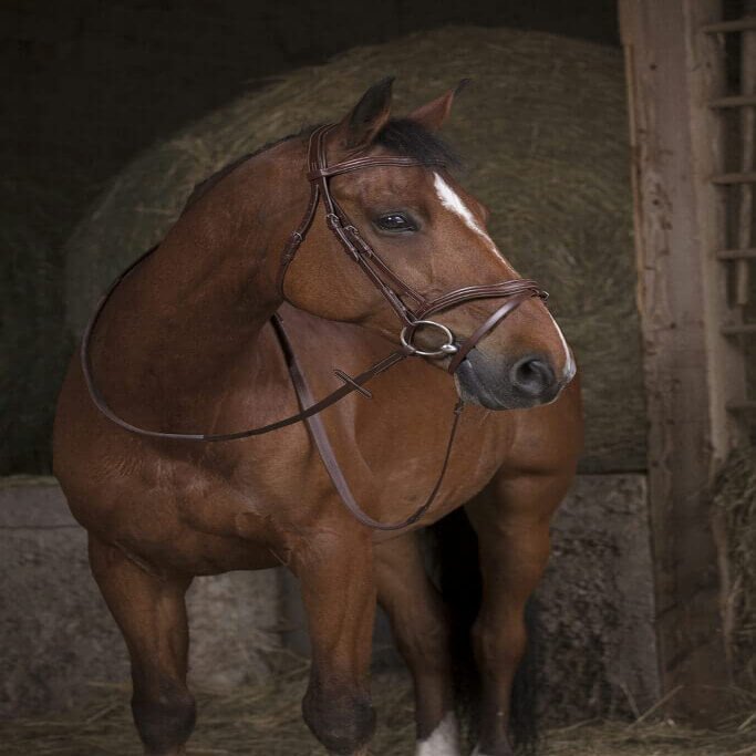 EKKIA (Ekia) 3338025592444 Horse Riding Equipment reins NORT.PRO RUB.REIN Large FS HAV 305639018, oner Size, Other