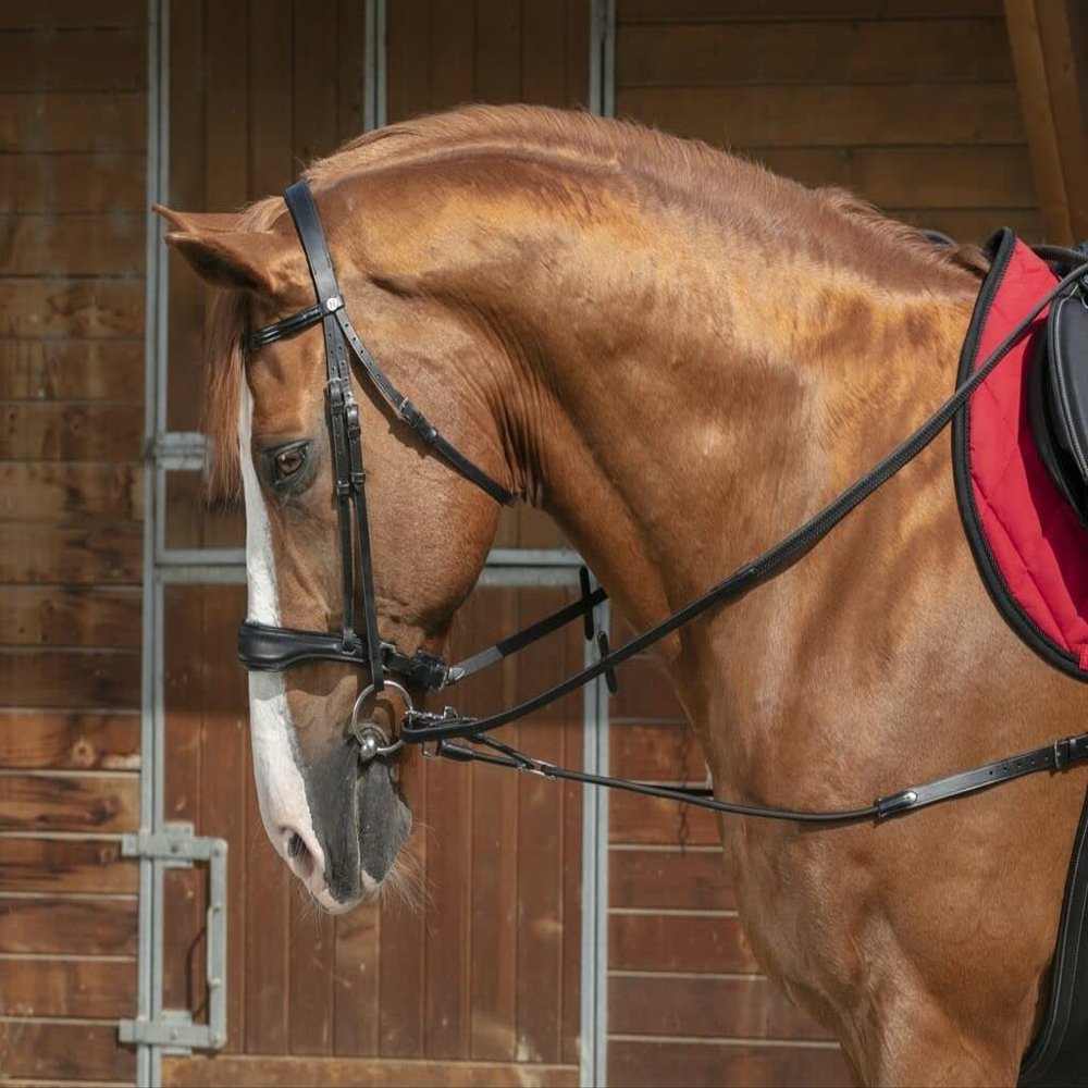 EKKIA (Ekia) 3338025592581 Horse Riding Equipment reins Black N.PRO Short ELAS.REINS + PUL BLK 306394002, oner Size, Other