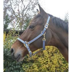 EKKIA (Ekia) 3338025596350 Horse Riding Equipment POLYFUN E-T Halter SHET.Navy 510087007, oner Size, Other