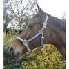 EKKIA (Ekia) 3338025596350 Horse Riding Equipment POLYFUN E-T Halter SHET.Navy 510087007, oner Size, Other view 1