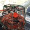 KUFA Sports Tower Style Prawn Trap with Prawn Trap Accessory Combo (CT77+FYM405) view 2