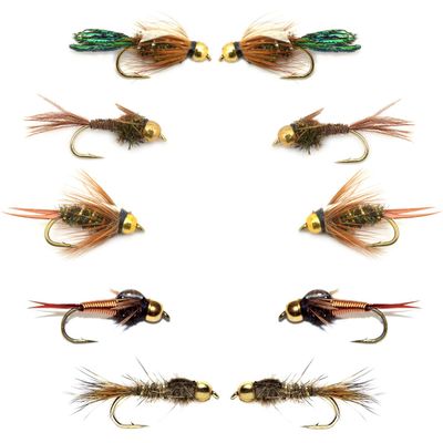 The Fly Fishing Place Basics Collection - Bead Head Nymph Assortment - 10 Wet Flies - 5 Patterns - Hook Sizes 12, 14, 16