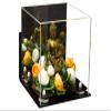 Better Display Cases Versatile Acrylic Display Case - Medium Square Box with Mirror, Wall Mount and White Risers 9.75" x 9.75" x 9.75" (A027-WR) view 1