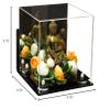 Better Display Cases Versatile Acrylic Display Case - Medium Square Box with Mirror, Wall Mount and White Risers 9.75" x 9.75" x 9.75" (A027-WR) view 4