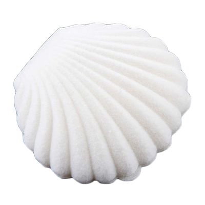 Baost Creative Sea Shell Shape Jewelry Box Earring Ring Necklace Display Tray Decorative Jewelry Trinket Box Storage Organizer Jewelry Gift Box with Sponge Ring Cuishion White