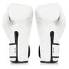 Fairtex Glory Training Gloves - Premium Leather MMA & Boxing Gloves |Handmade in Thailand - Shock-Absorbing Foam Padding | Ideal for Kickboxing, Sparring & Competition (White-14oz) view 2