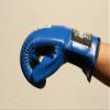MOOTO MMA Glove TG-1 Black,Blue,Pink 3 Color Free Size TKD Martial Arts Kick Boxing (Blue) view 2