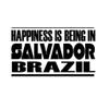 Custom Brother - Happiness is Being in Salvador Brazil Car Laptop Wall Sticker h14