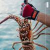 BUBBA Ultimate Fishing Gloves with Cut Resistant Construction, Cloth Thumb and Touch Screen Usability for Fishing, Angling, Boating and Outdoors view 2