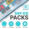 Nice Packs Reusable Dry Ice Packs for Coolers, Lunch Boxes, Frozen Food Shipping - Flexible and Long Lasting (10 Large Sheets) view 2