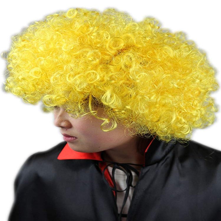 Wonder Stage Short Fluffy Afro Wigs Heat Resistant Synthetic Unisex Men Women Cosplay Anime Fancy Funny Wigs for Party