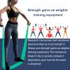 A AZURELIFE Resistance Bands,Professional Long Non-Latex Elastic Stretch Bands,Exercise Bands for Physical Therapy, Yoga, Pilates, Rehab, at-Home or The Gym Workouts, Strength Training view 2