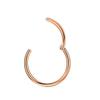16 Gauge Hoop Nose Rings for Women Men 18k Rose Gold-plated Surgical Steel Nose Hoop Hypoallergenic Body Piercing Rings for Septum Cartilage Helix Conch Rook Tragus Lobe Lip 16g 13mm Nose Hoop view 3