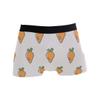 Easter Men's Underwear Little Carrot Men Boxer Briefs Comfort Soft Boxer Briefs view 1