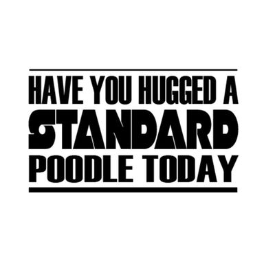 Custom Brother - Have You Hugged A Standard Poodle Today Car Laptop Wall Sticker g84