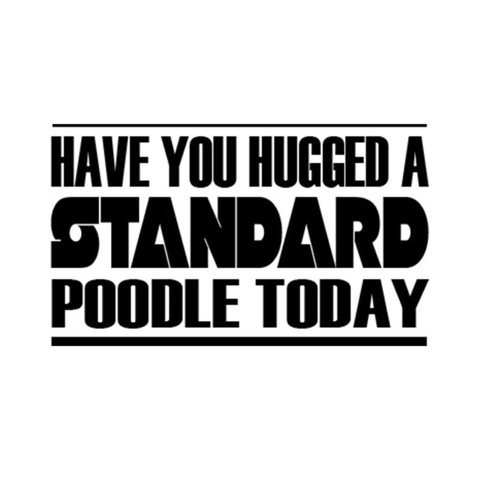 Custom Brother - Have You Hugged A Standard Poodle Today Car Laptop Wall Sticker g84