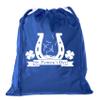 Mato & Hash St Patrick's Day Goodie Bags, Mini Drawstring Cinch Sacks, Small Gift Bags - 10PK Pink CA2655Patty S2 view 1