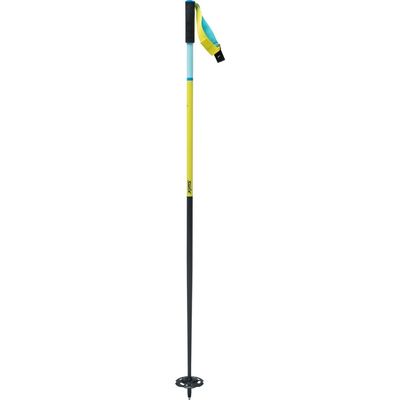 Swix The Stick Alpine Ski Poles