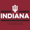 AH1144 - Indiana Hoosiers Double Bar Logo Hoodie - Large - Cardinal view 3