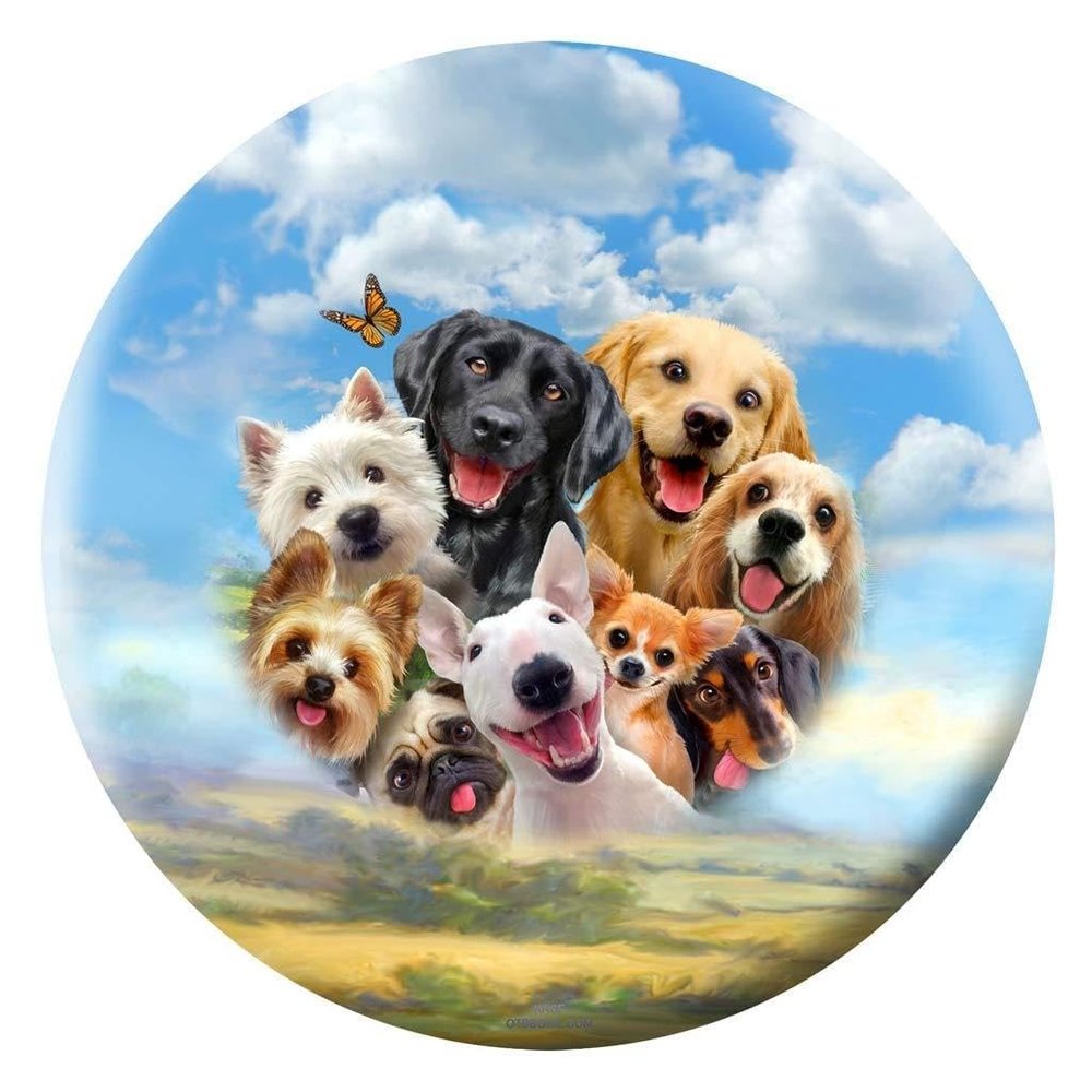 Bowlerstore Products Howard Robinson- Dogs Bowling Ball (16lbs)
