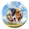 Bowlerstore Products Howard Robinson- Dogs Bowling Ball (16lbs) view 1