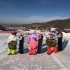 Elegeet Protective Gear for Skiing Skating Snowboarding Cute Turtle Tortoise Cushion (Red, XX-Small) view 4