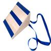 Trademark Innovations Calf Board Wedge Incline Slant Board Stretcher with Strap view 1