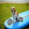 Better Surf than Sorry Pup Deck Dog Traction pad (Grey) view 2