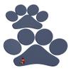 Better Surf than Sorry Pup Deck Dog Traction pad (Grey) view 3