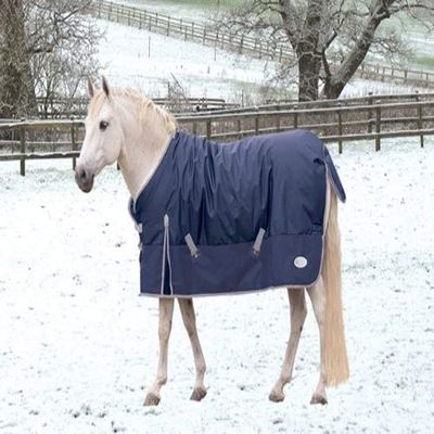 Rhinegold Thor Outdoor Rug - 6/0 - Navy