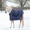 Rhinegold Thor Outdoor Rug - 6/0 - Navy view 1