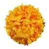 Danzcue 2 Pack 6 Inches Plastic Cheerleading Pom Pom with Baton Handle (Gold, One Size) view 1
