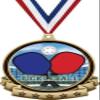 Pickleball Medals - 2.5" Gold Pickleball Medal Award Includes Red White and Blue Neck Ribbon, Great Pickleball Awards 100 Pack Prime view 1