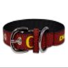 Pets First Collegiate Oregon Ducks Premium PET Collar, Limited Edition, Size Small. Best & Toughest Heavy-Duty Pet Collar! view 4