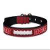 COLLEGIATE WISCONSIN BADGERS PREMIUM PET COLLAR, LIMITED EDITION, Size Small. Best & Toughest Heavy-Duty Pet Collar! view 1